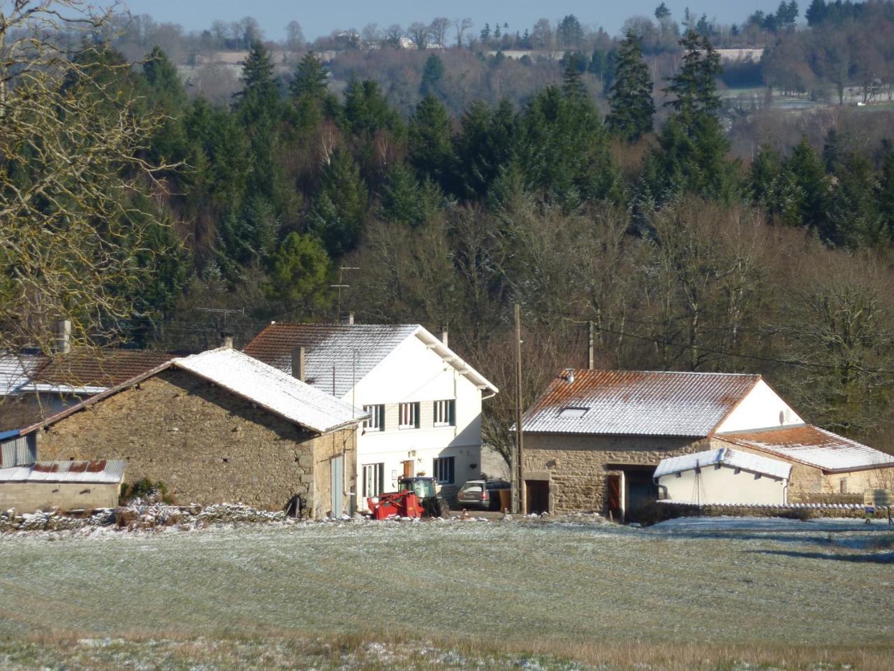 L'Hirondelle Chambres D'Hotes Saint-Mathieu Exterior foto